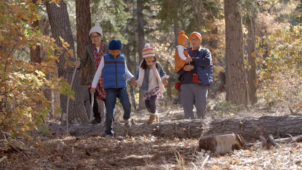 Parents with children enjoying a hike together in a forest