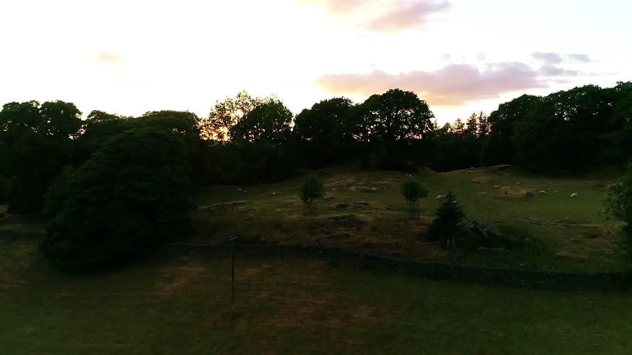 Drone shot of sheep on rolling green hills the village and Lake Windermere at sunset Lake District UK