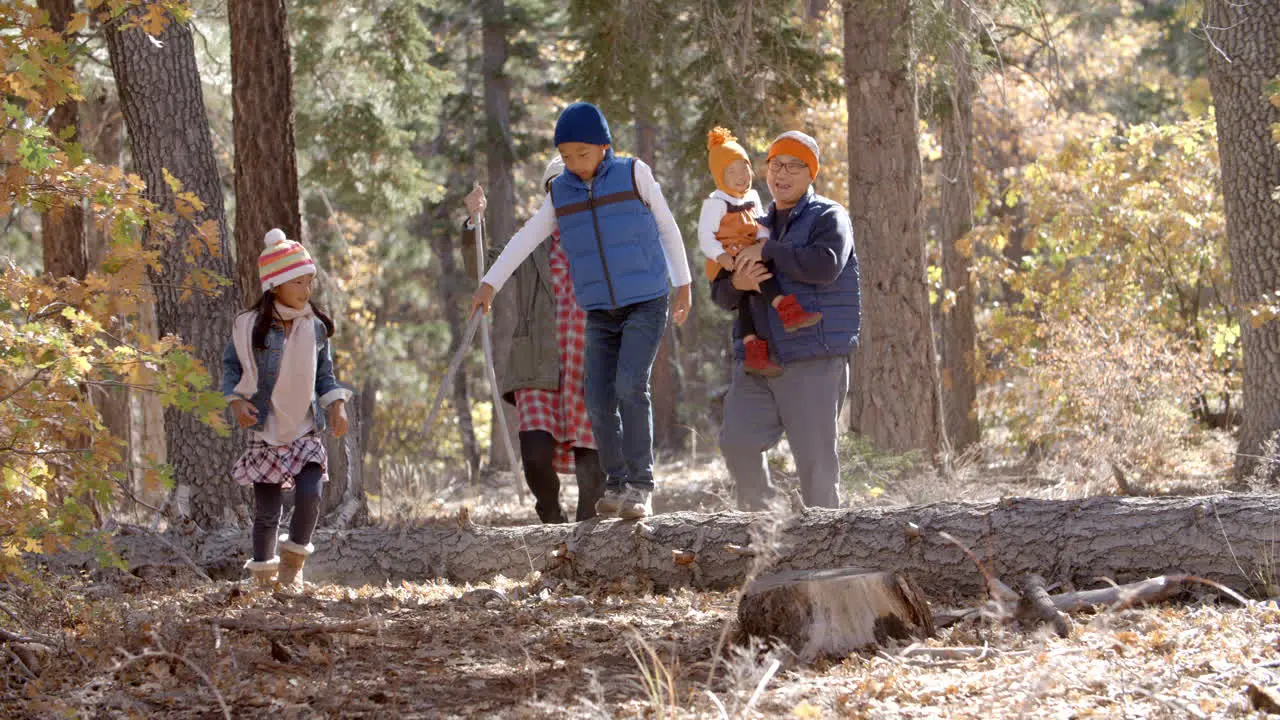 Asian family of five enjoying a walk together in a forest