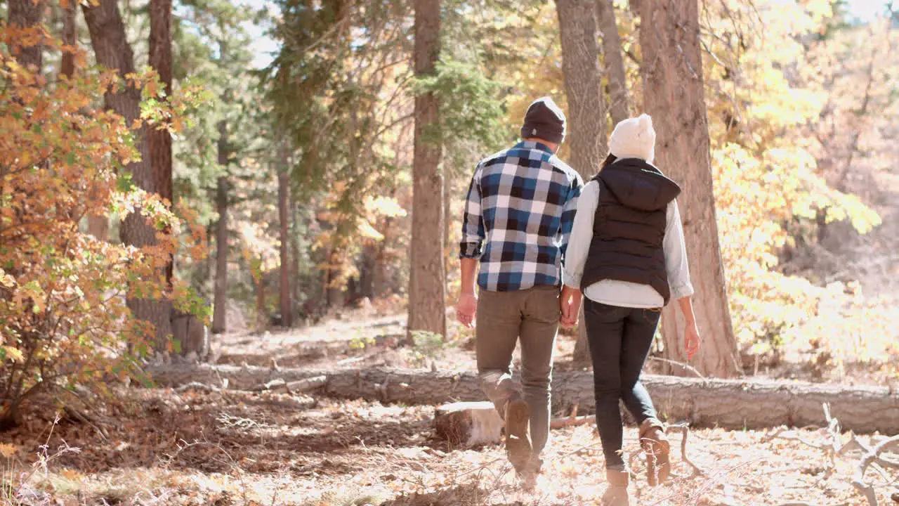 Adult couple hold hands walking through a forest back view