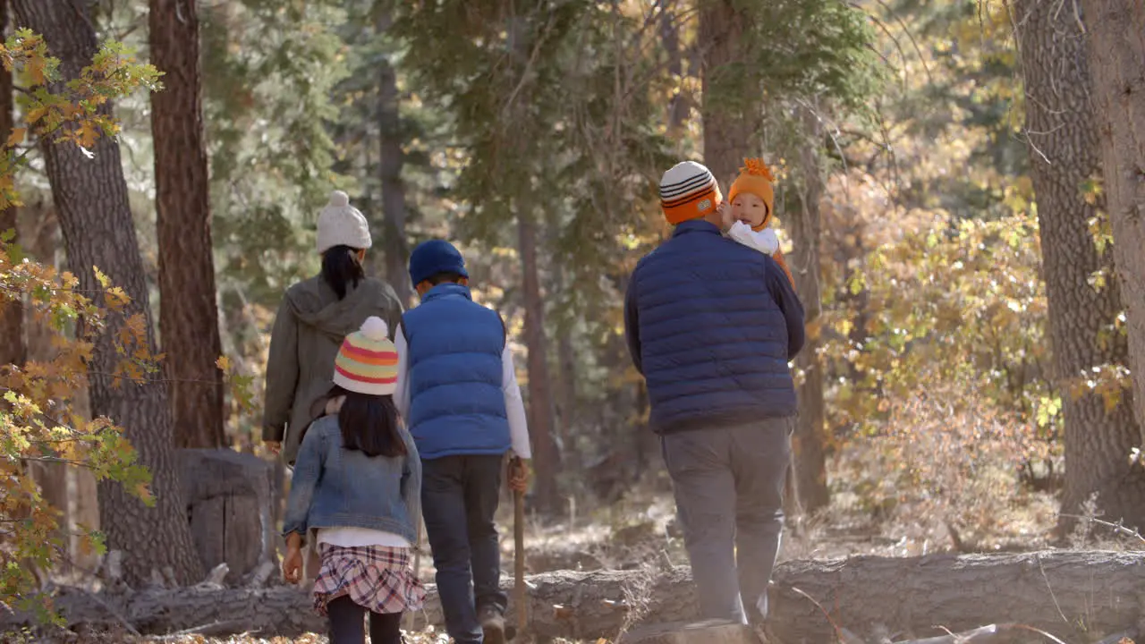 Asian family hiking together in a forest back view