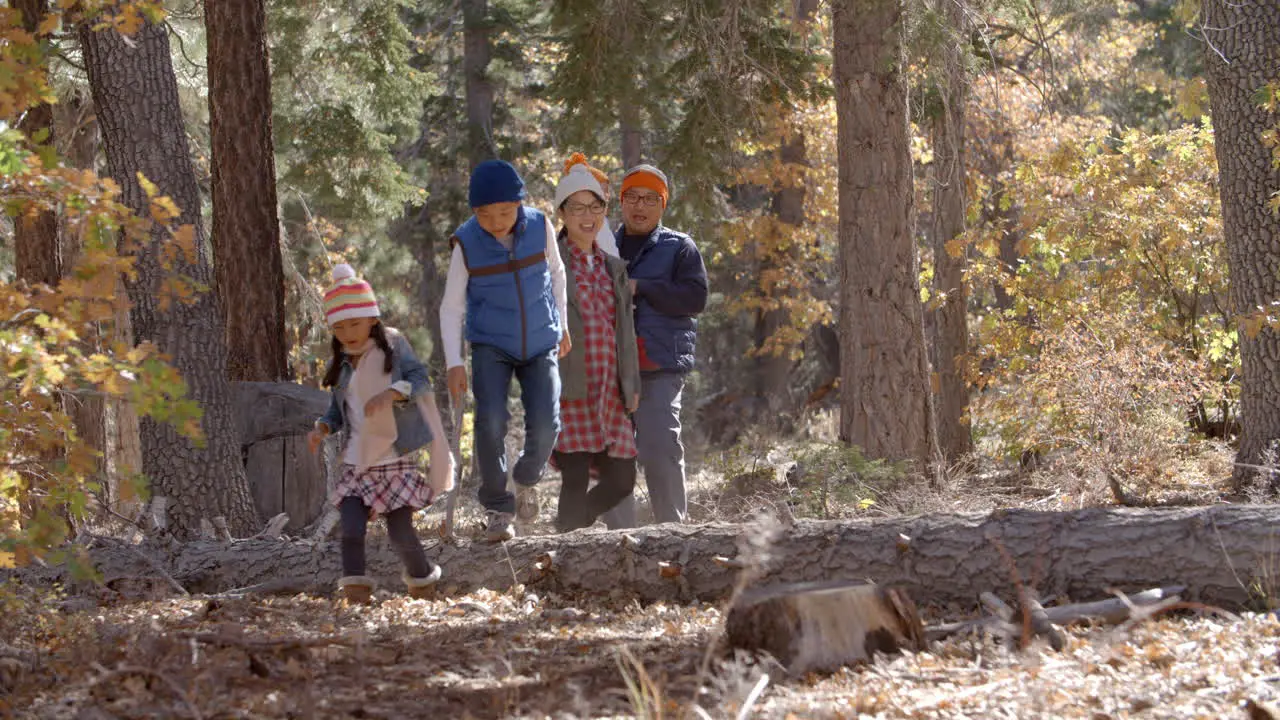 Asian family of five enjoy a walk in a forest kids pointing