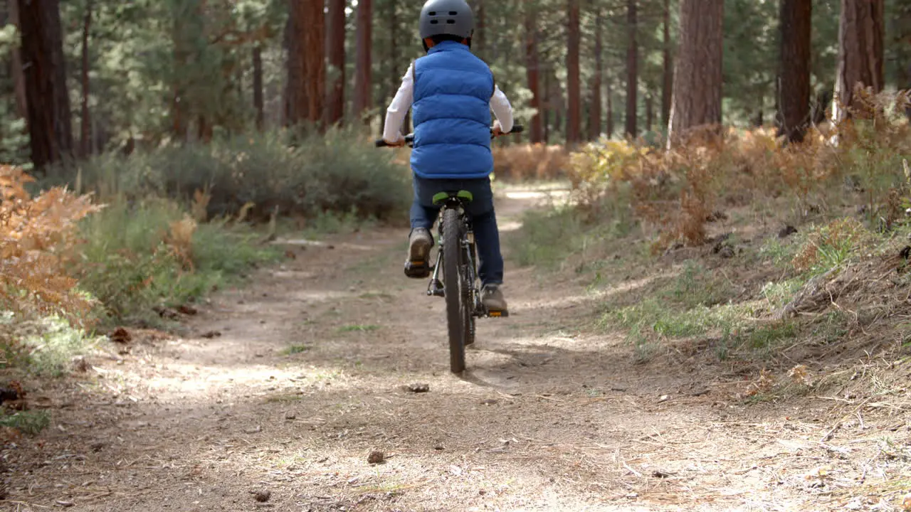 Family cycling through a forest back view low angle