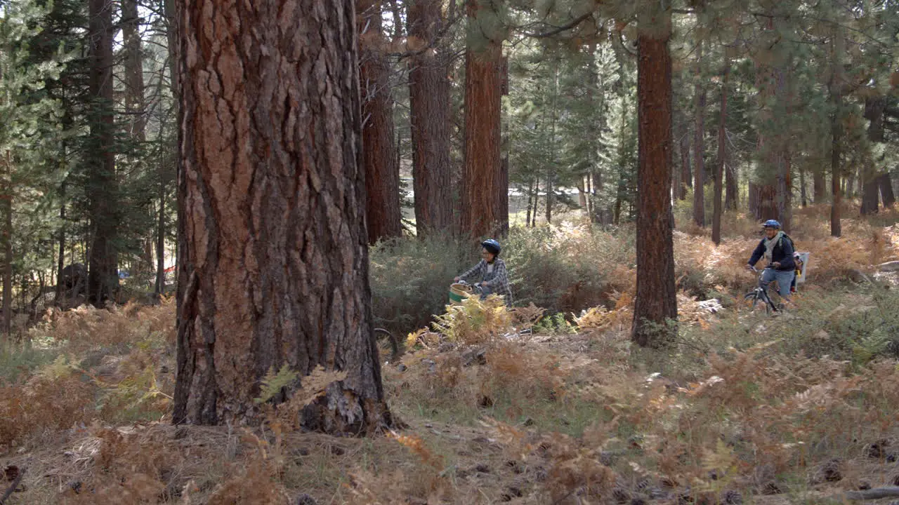 Family cycling through a forest together side view