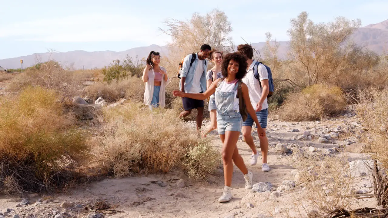 Five young adult friends walking in Palm Springs desert