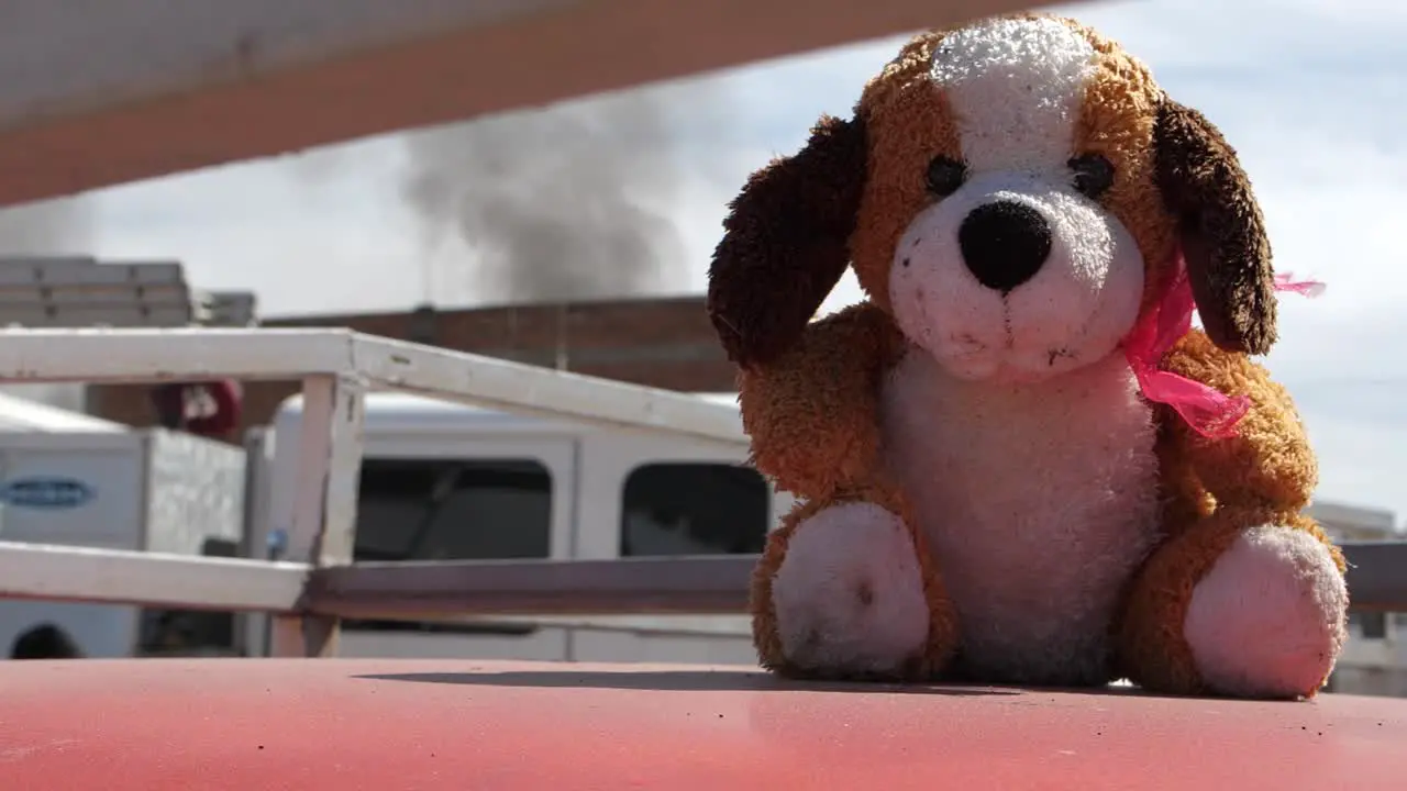 Small plush dog sitting in front of a burning house with smoke