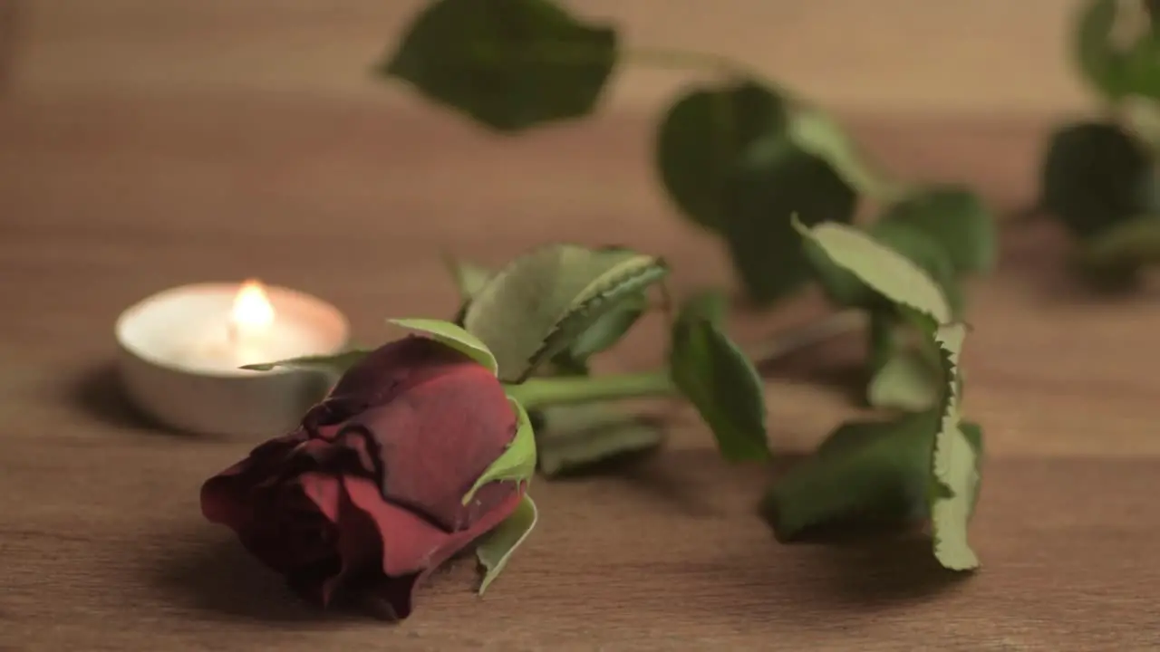 Tea light candle with red rose for romantic evening