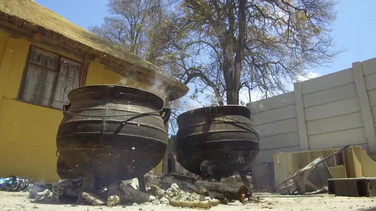 Cast-iron "Potjie" pots on a fire with a tree in the background