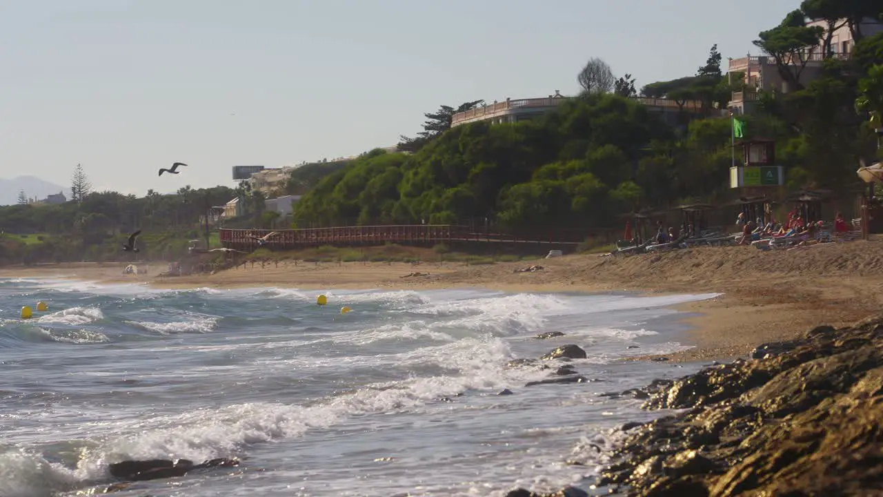 Slow motion coastline of sandy beach with seagulls flying