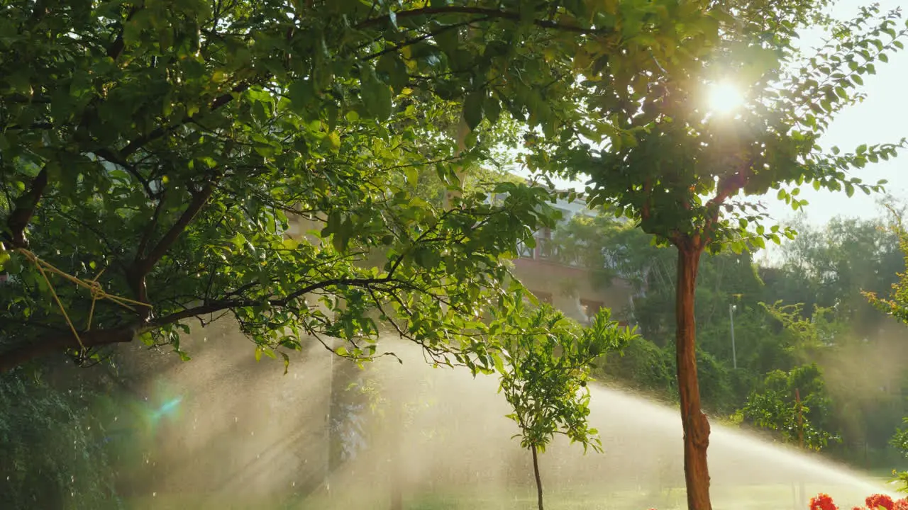 The Rays Of The Sun Illuminate A Small Garden With Fruit Trees And Flowers Where The Irrigation Syst