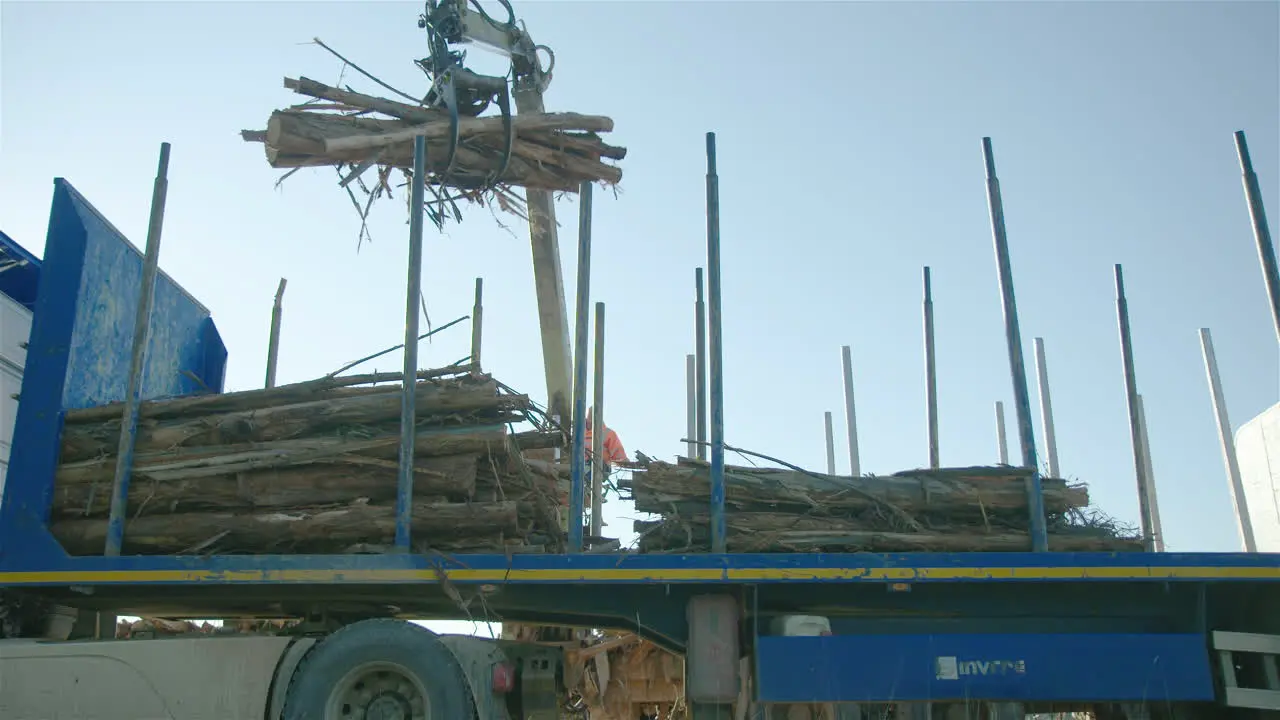 Crane operator deftly stacks lumber on back of truck low angle