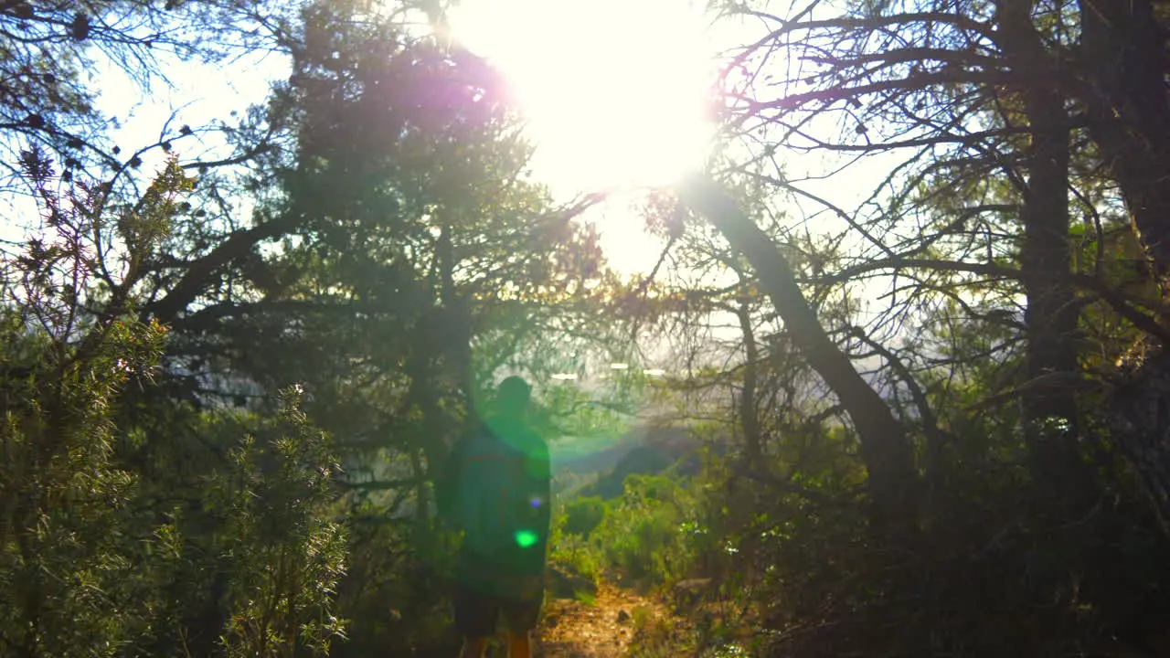 Man walking through the mountains with trees and sunset in the background in the early morning