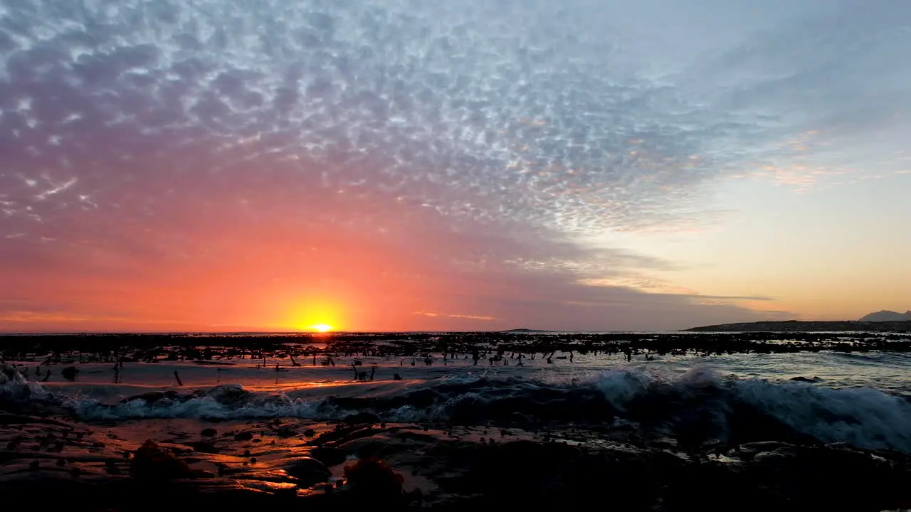 Vibrant coastal sunset sun on horizon reflecting off ocean with kelp