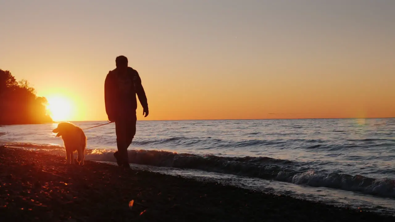 Man Walks Dog on Beach at Sunset