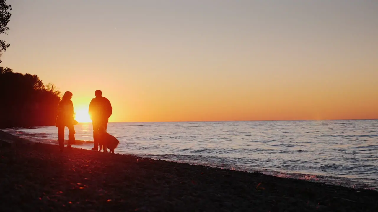 Couple Play With Dog at Sunset