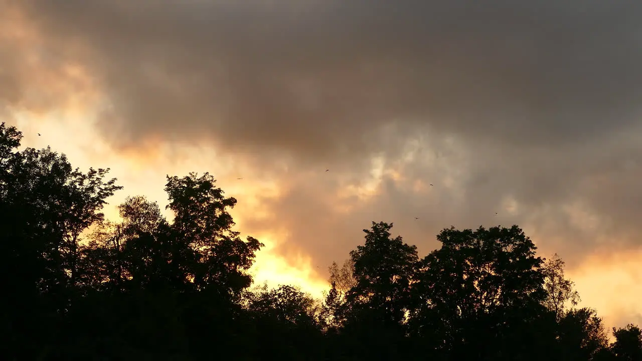 Beautiful background of a cloudy sky with orange rays of the sun trees in the dark