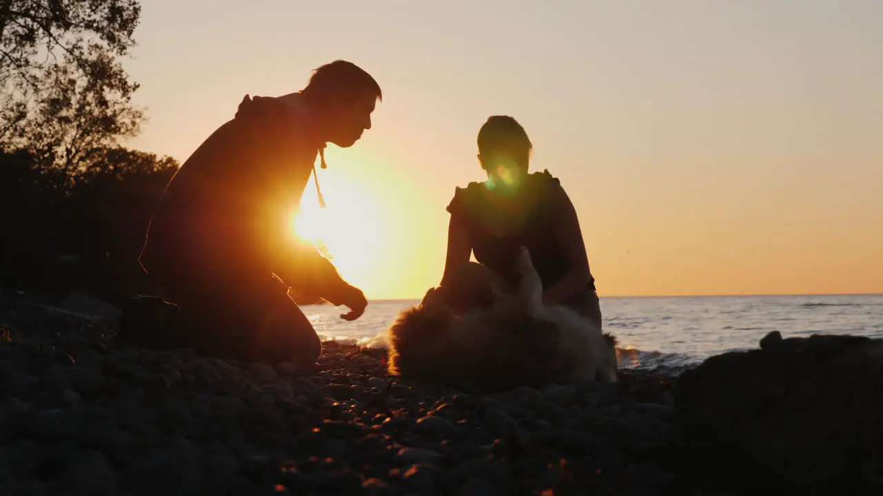 Man and Woman Playing With Dog at Sunset