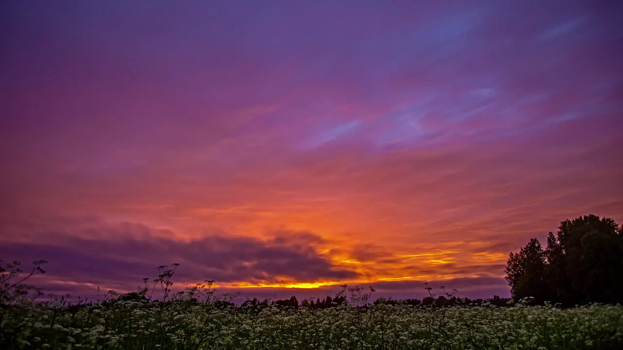 The sunset sky changes to a spectrum of colors at sundown over a field of wildflowers low angle time lapse