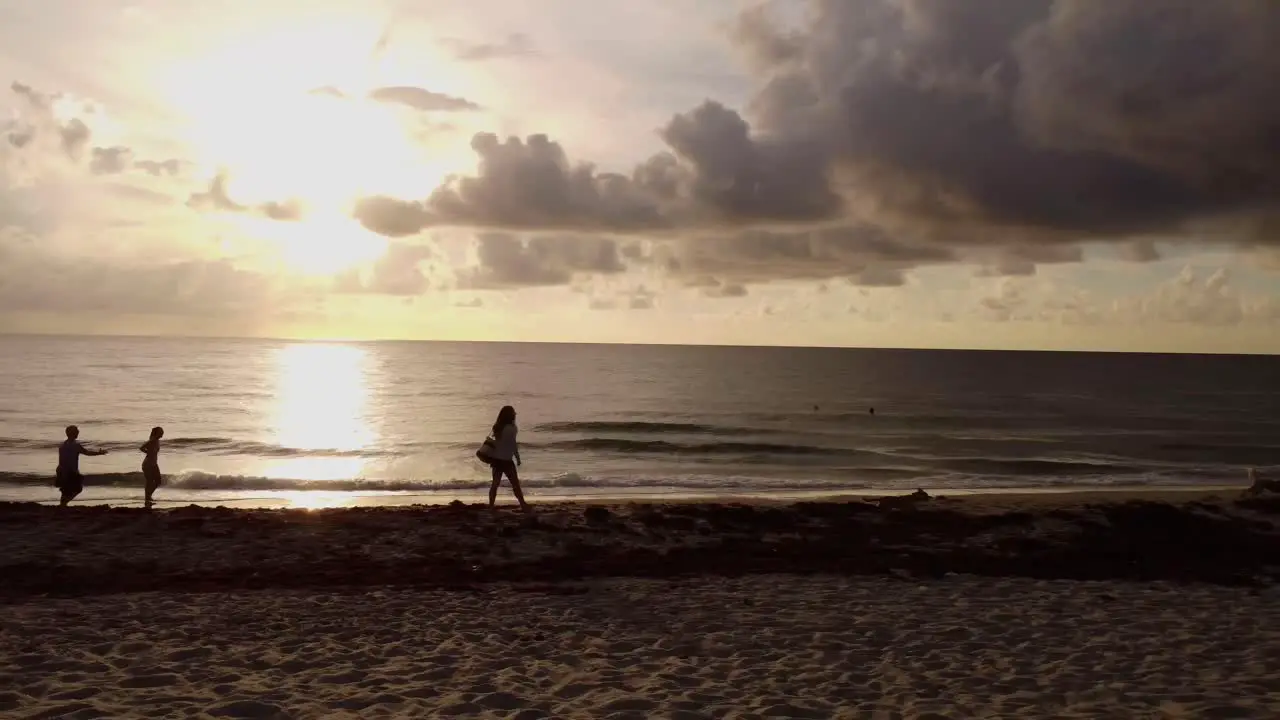 A Family Enjoying a Scenic Stroll Along the Beach with their Dogs During a Sunset over the Ocean