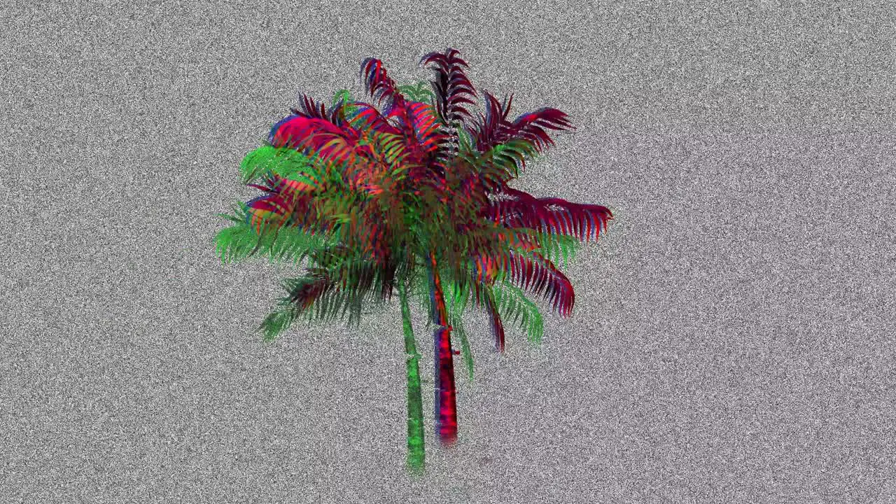 Palm tree and static