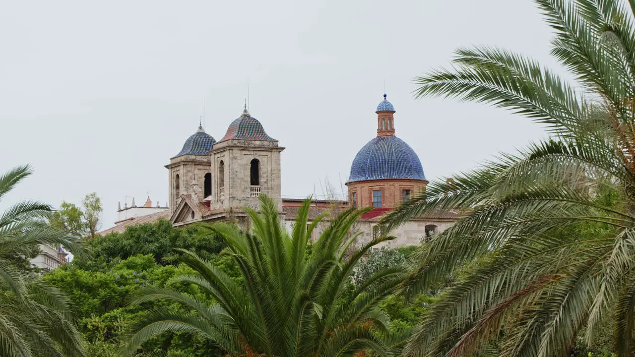 Roof of cathedral and palm tree leaves in Valencia Spain 24fps 4k