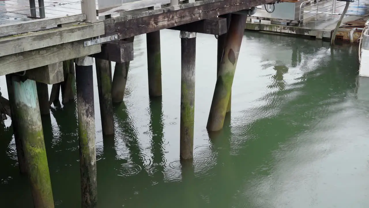 Water under a mossy wooden dock on a cloudy rainy day