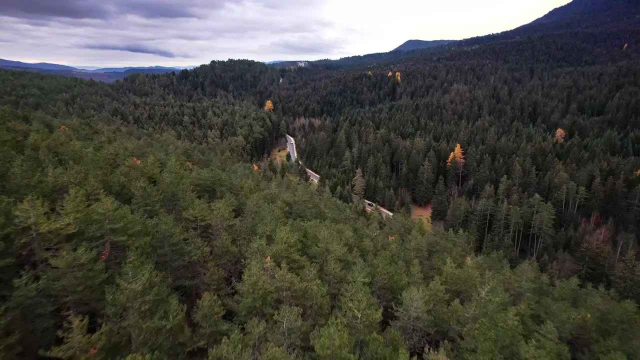 Flying over beautiful late autumn forest and revealing a mountain road