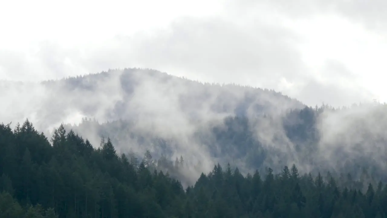 Panning shot of foggy mountains and treeline