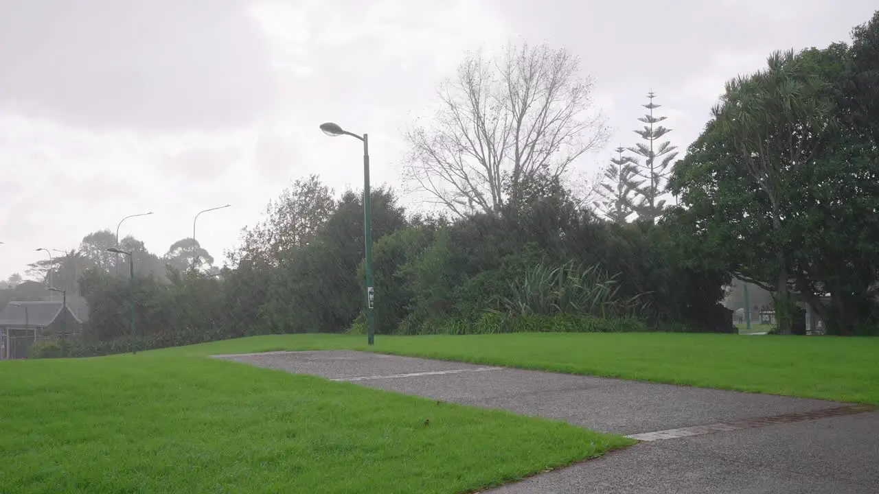 road lamp and green lawn in a park on a rainy day