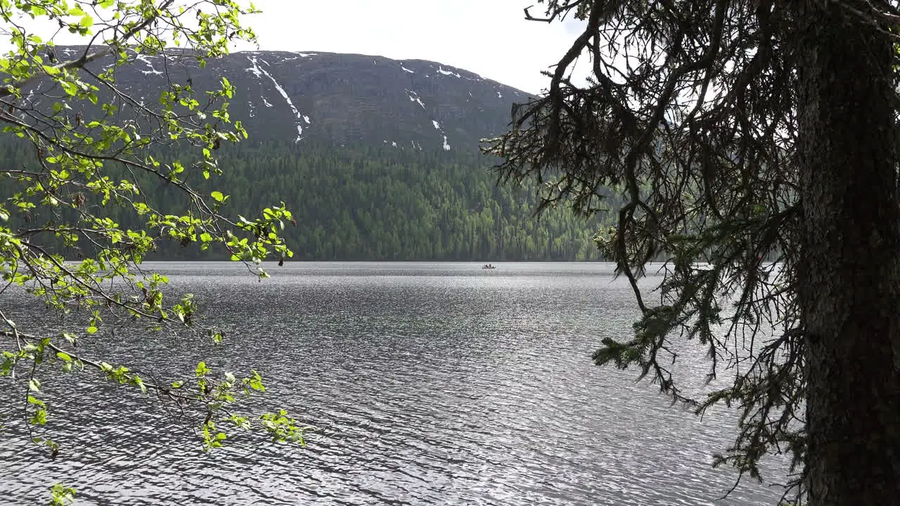 Alaska Lake Spring Leaves And Lake