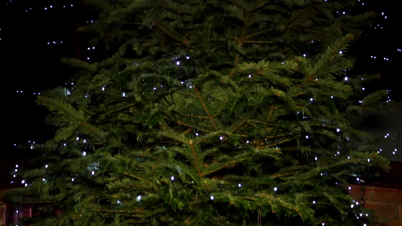 Tilt down Christmas Tree with LED String Lights with light reflections on windows in background