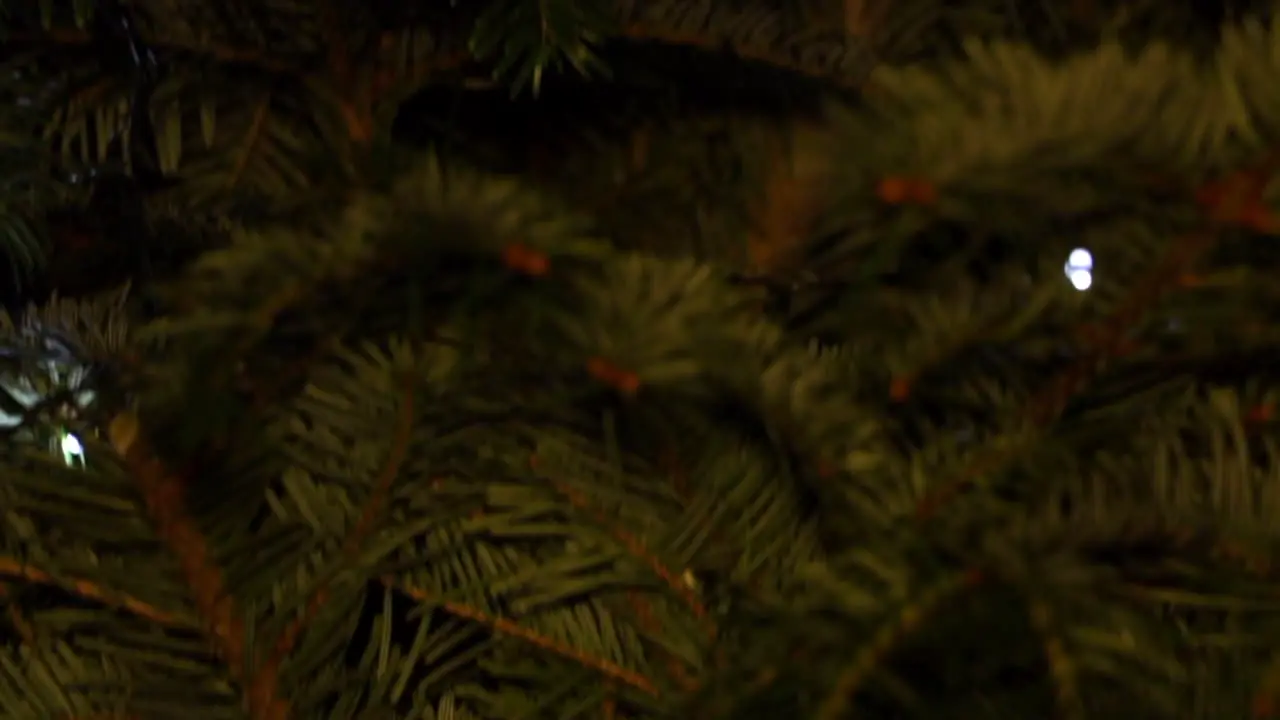 Tilt down Close-Up of Christmas Tree with LED String Lights Pulsing and Flashing