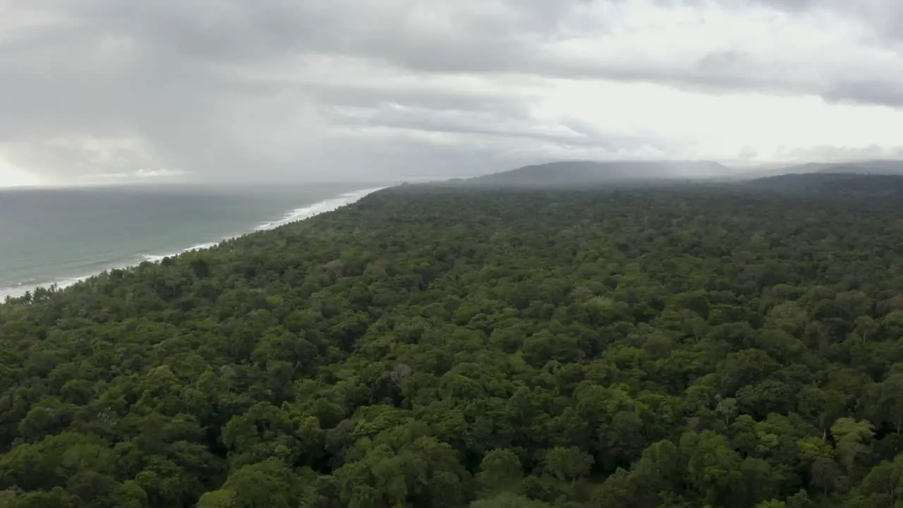 Aerial flies over a huge endless jungle tilting towards the Ocean