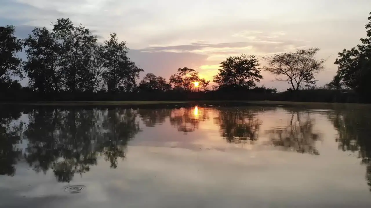 Forest Landscape Sunrise Over Water Cinematic Drone Footage Aerial Shot of a Pine Forest and River during Sunset