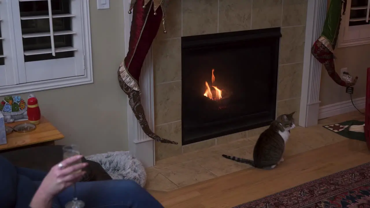 Senior widow woman drinking wine alone by a fireplace