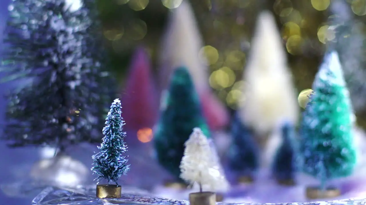 Slow Motion snow glitter falls on bottlebrush tree forest with gold and blue bokeh background at night