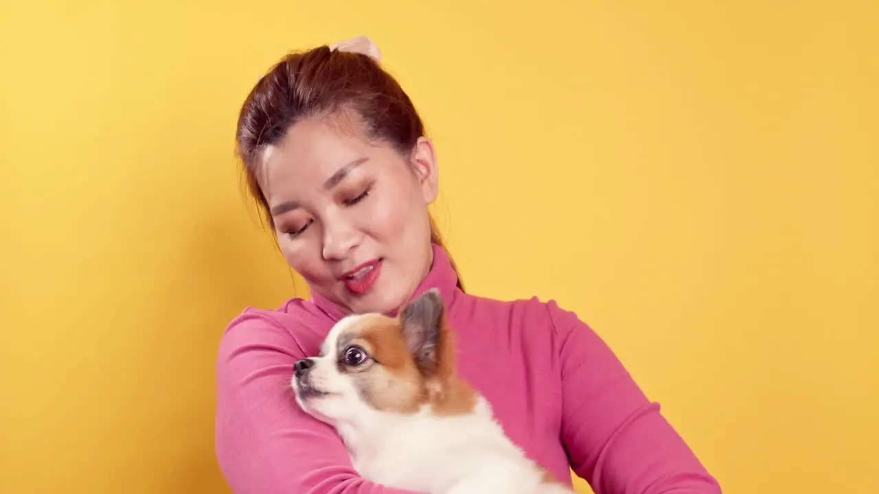 Asian women show love and play with chihuahua mix pomeranian dogs for relaxation on bright yellow background-1