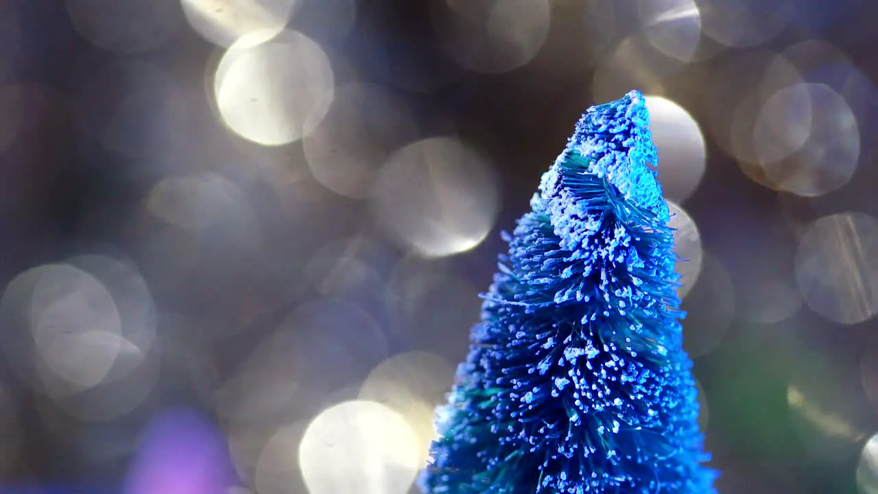 Snow covered Green Bottle Brush tree tip with glittery bokeh background