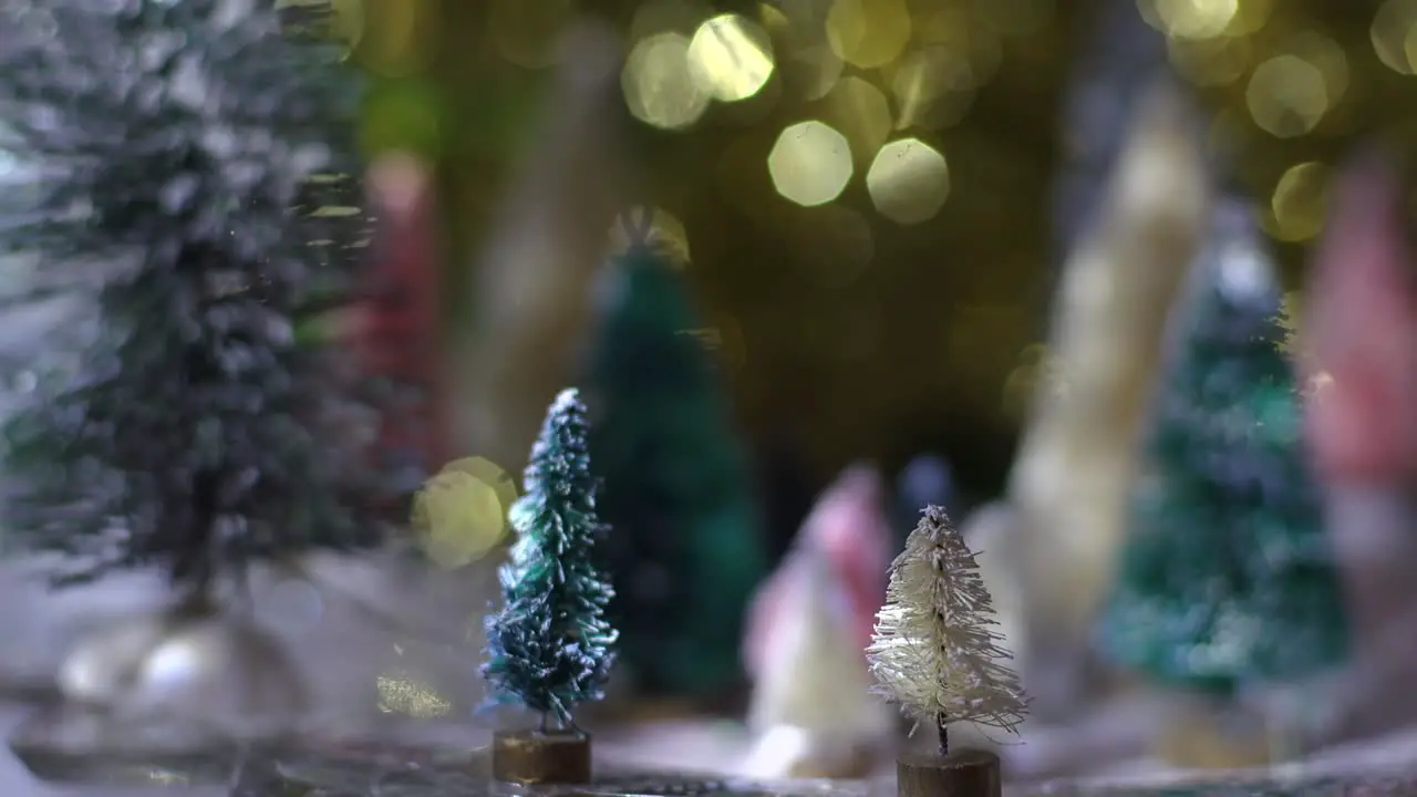 Flashing lights on christmas bottle brush tree forest at night