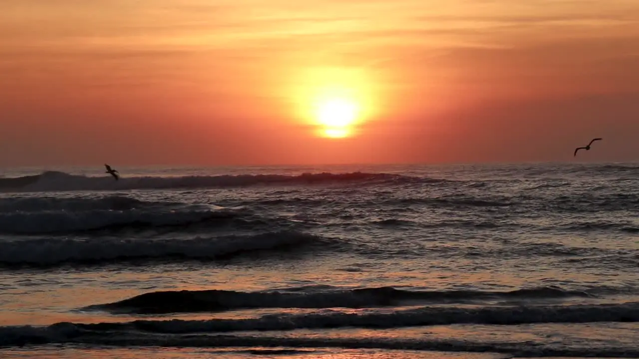 Sunset glow over ocean waves with bird in flight