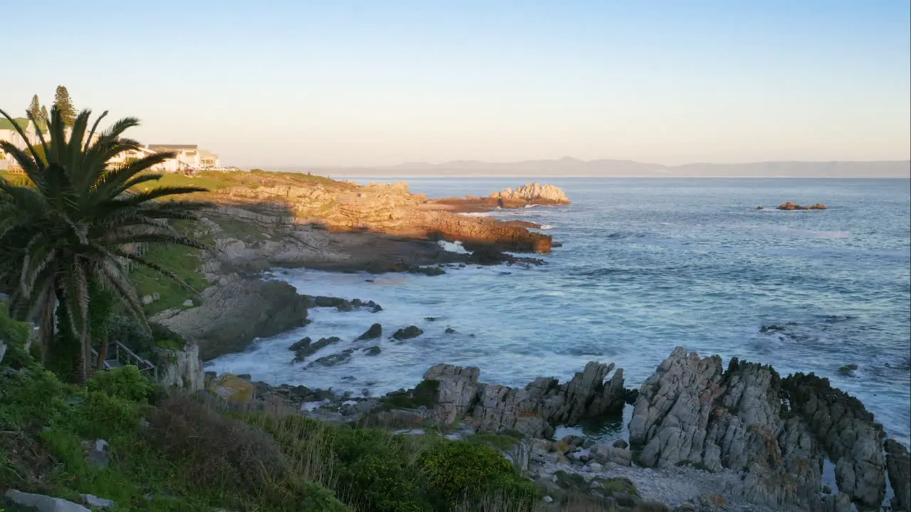 TimeLapse Waves crashing into rocky coastline as sun is setting palm tree in foreground Hermanus South Africa