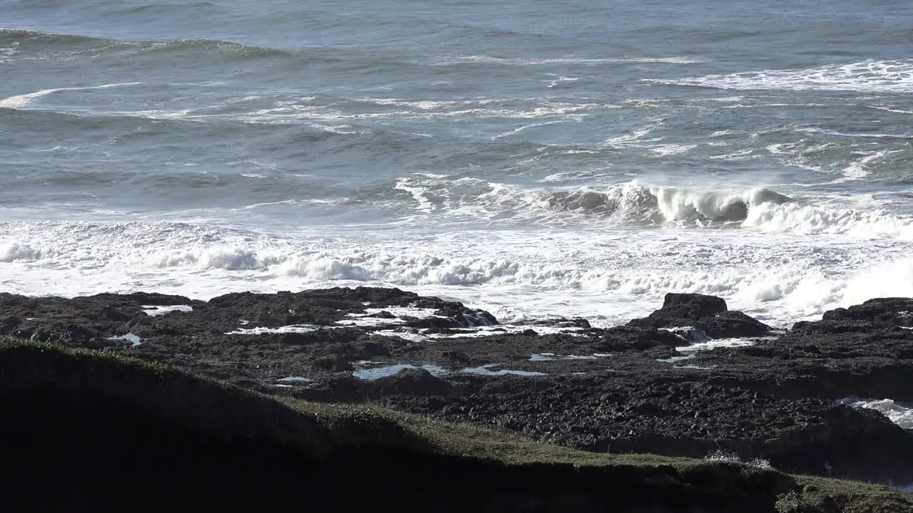 Oregon View Of Thors Well Sprouting At Cape Perpetua Sound Zoom In