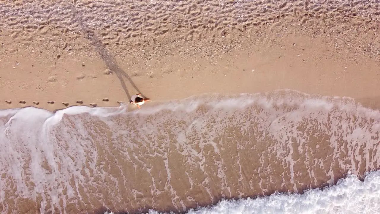 Woman leaves Footprints during beachwalk on Milos Beach Lefkada Island Greece Overhead Trucking Sideways