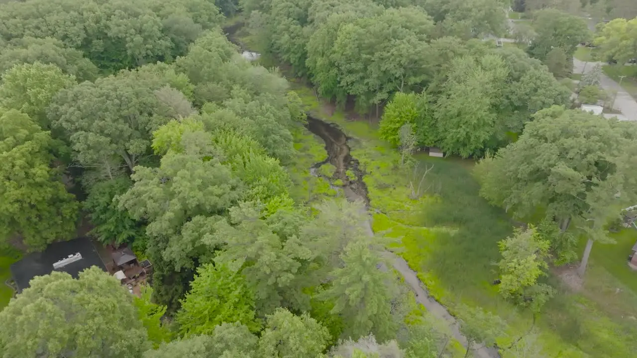 Small creek flowing through slight wilderness