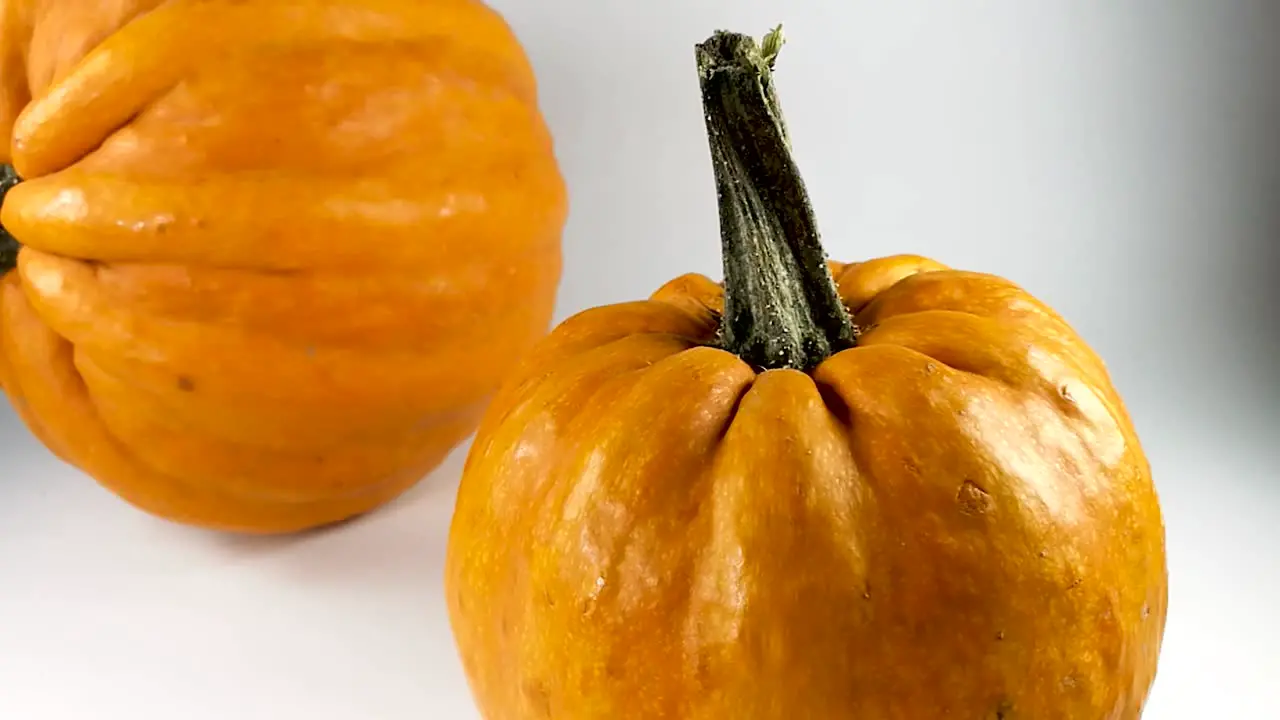 Two pumpkins isolated on a white background SLIDE RIGHT