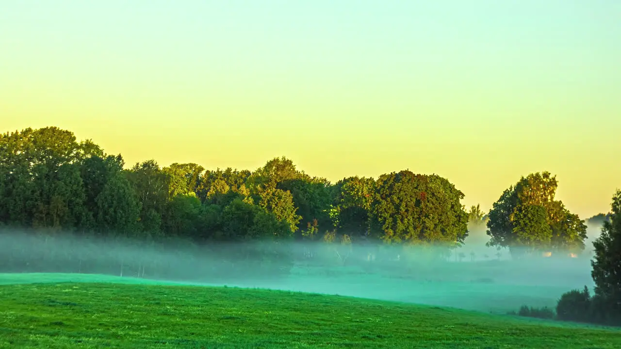 Mysterious fog time lapse reveal clear sky and green forest landscape in woods