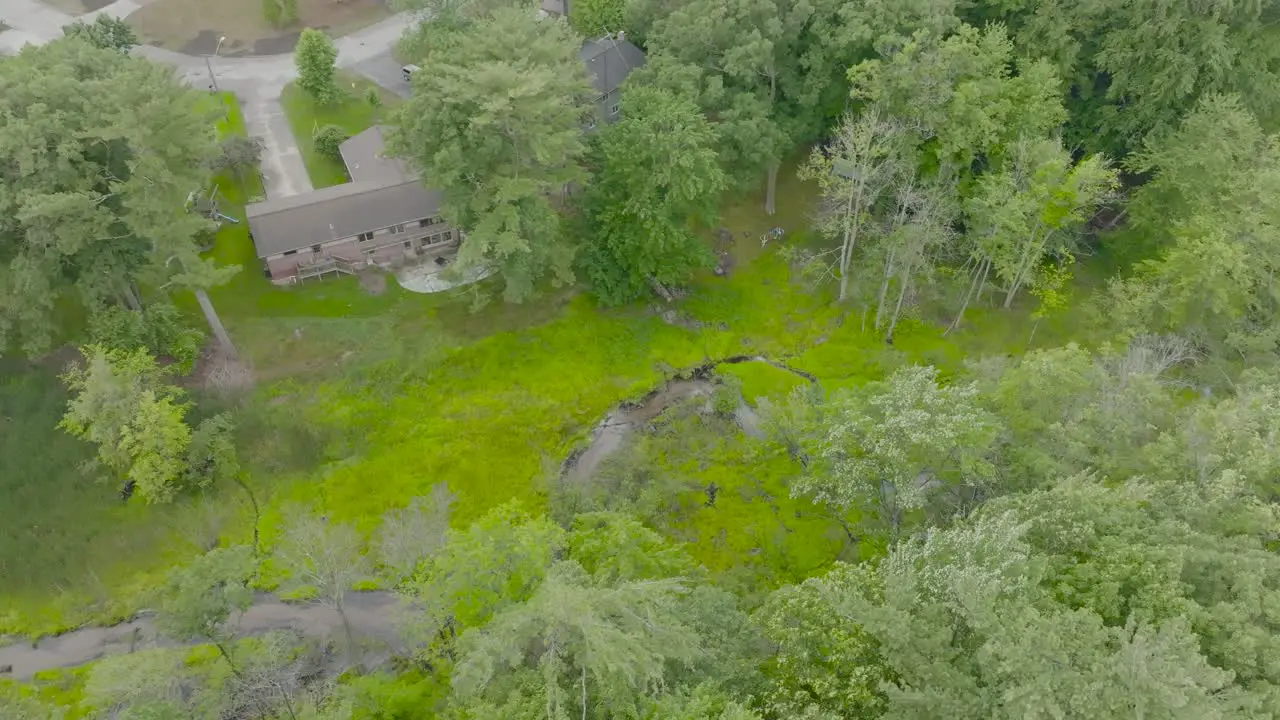 Lush creek area from the sky