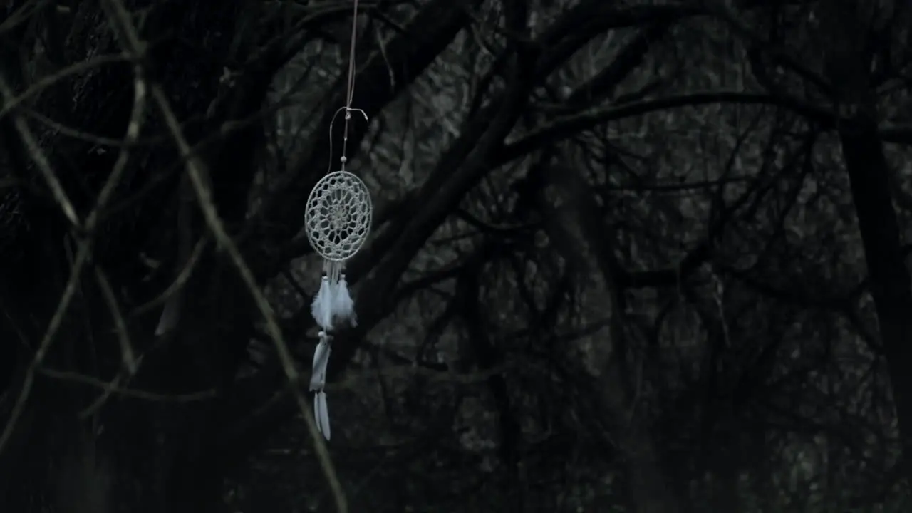 Mysterious dreamcatcher swings eerily in dark creepy forest slow-mo