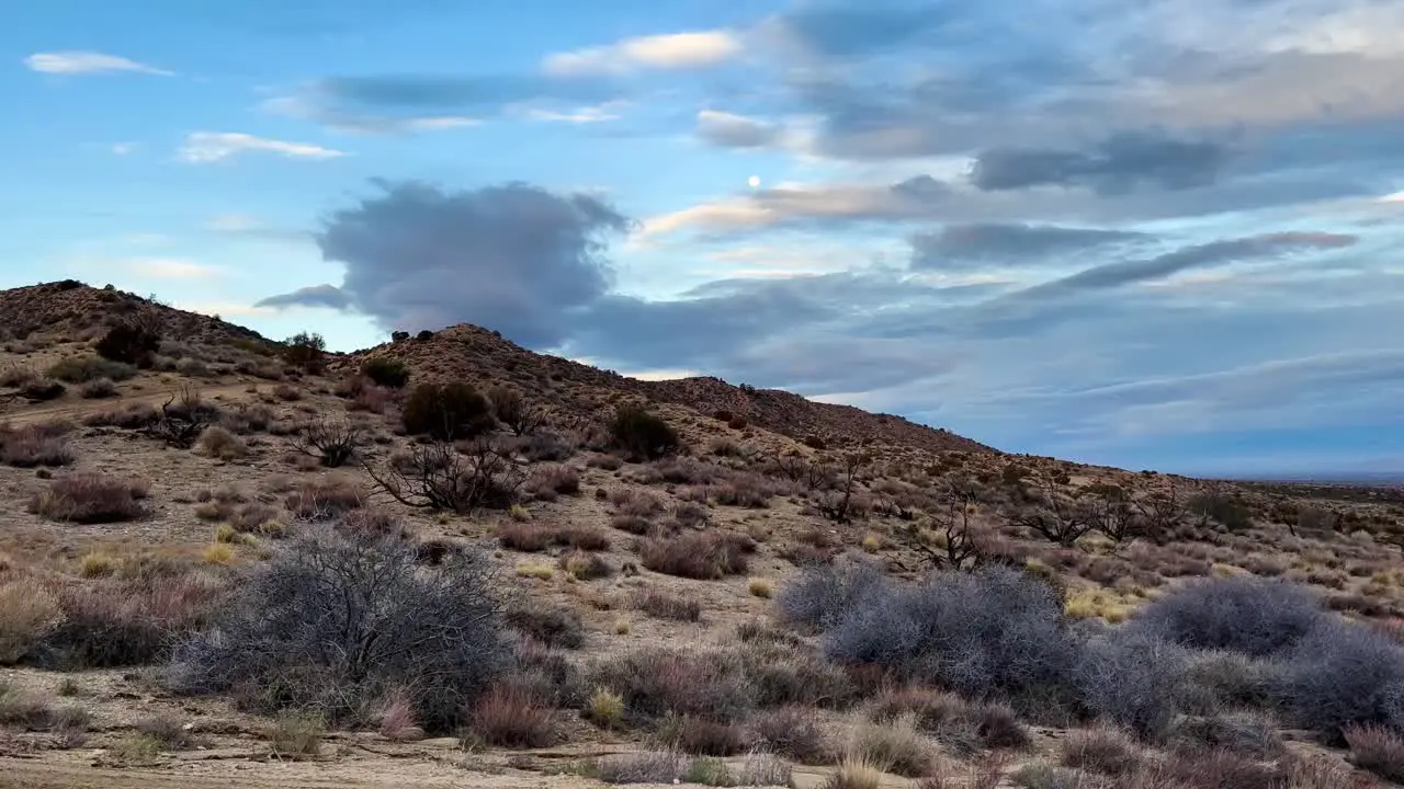 Desert landscape pan during morning with a full moon in the sky and desert foiliage