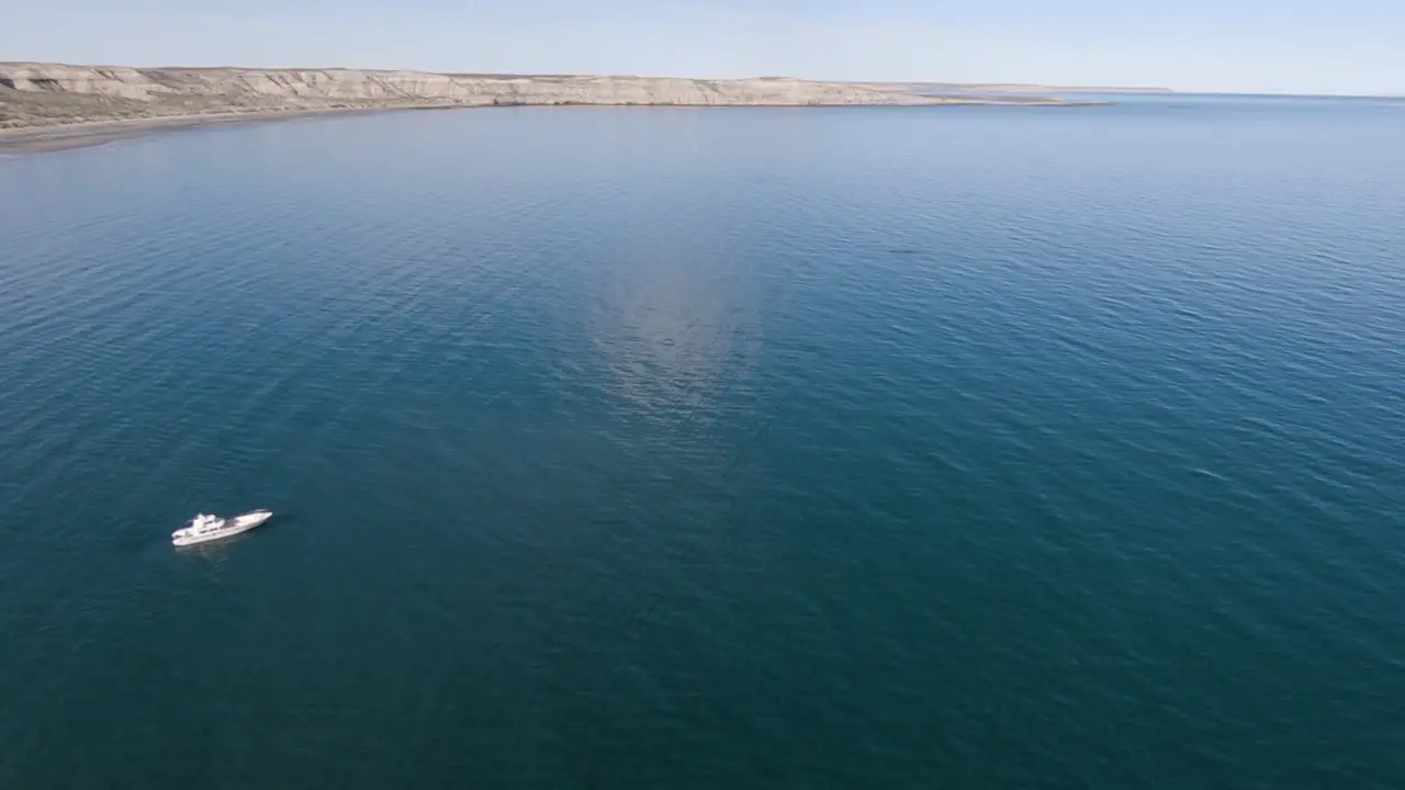 Beautiful Patagonian Landscape scenic view Boat Approaching Whales Aerial Shot